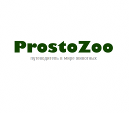 Prostozoo.com.ua